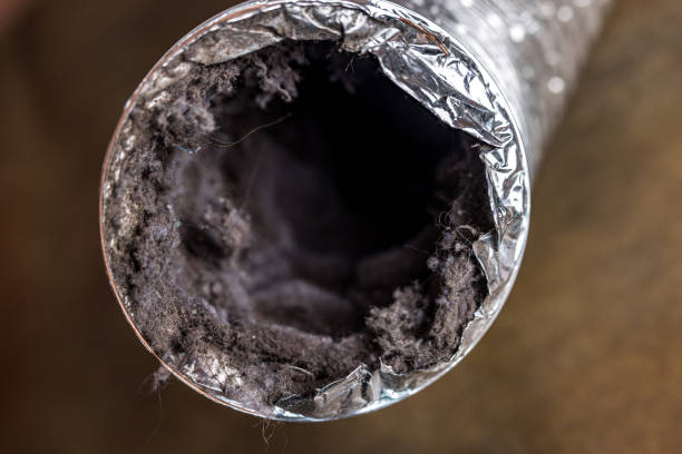 Best Professional Duct Cleaning Services  in Springfield, MA